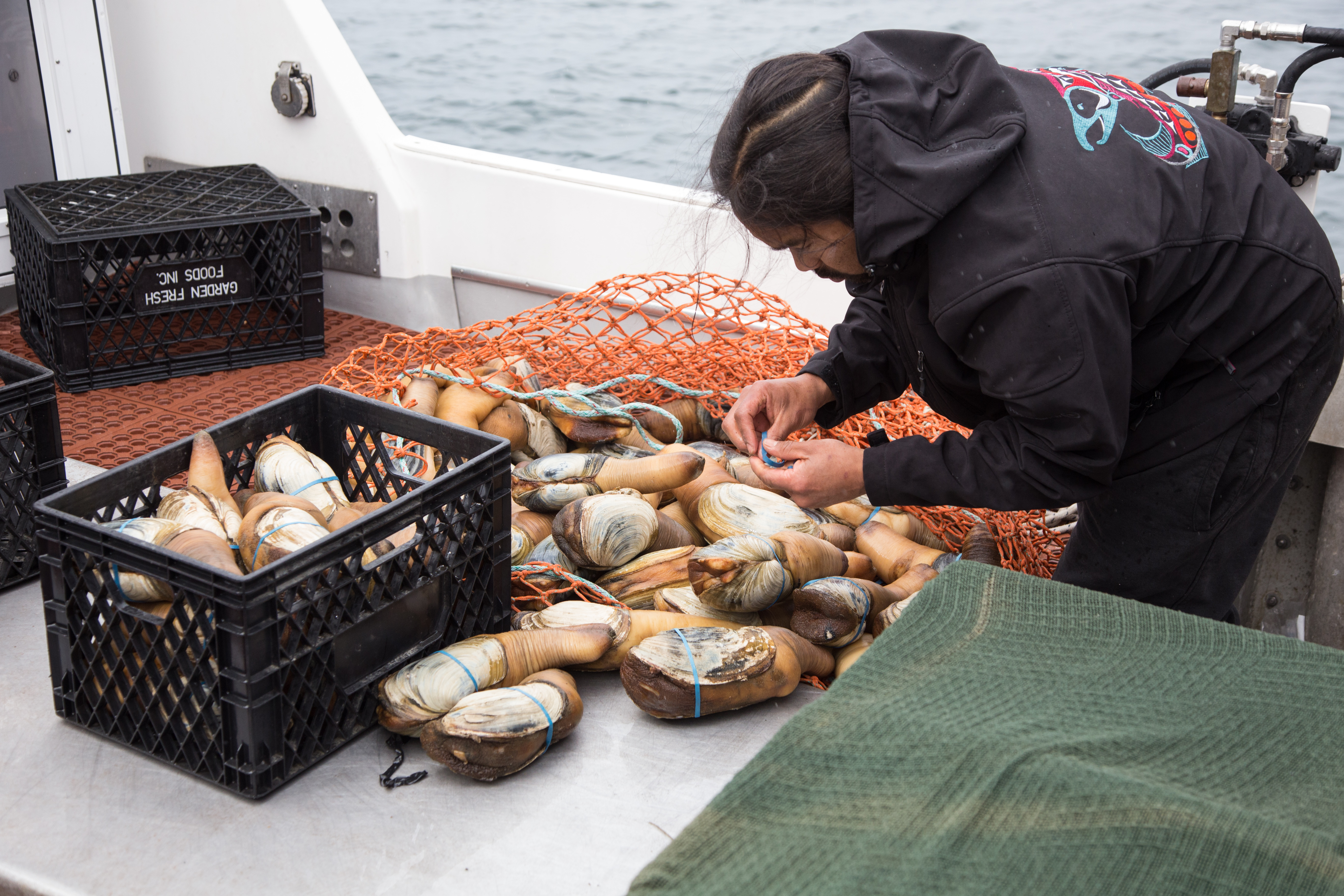 Something in the water: How King County is finding and fixing poop pollution