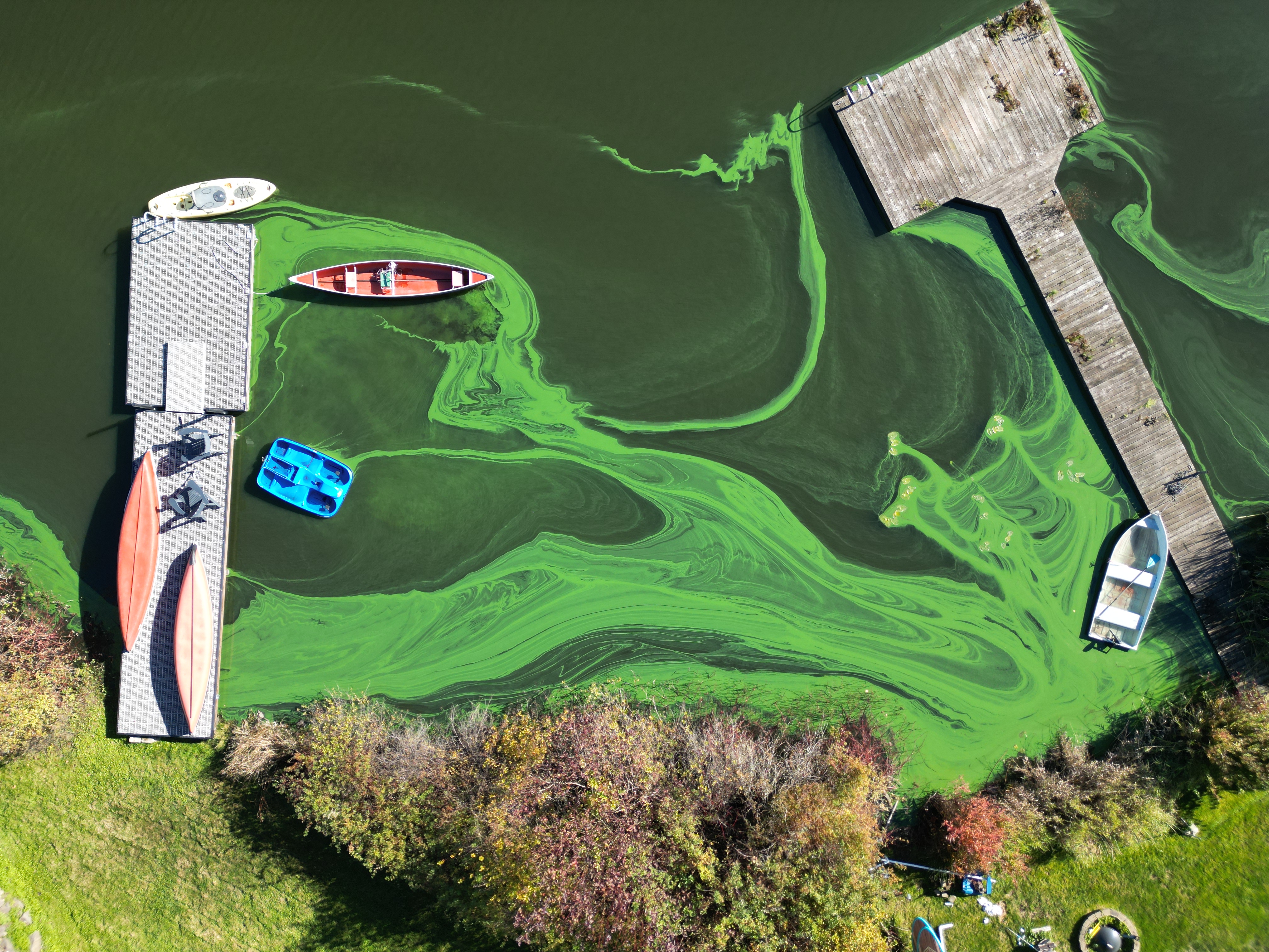 Fall vibes and… toxic algae?