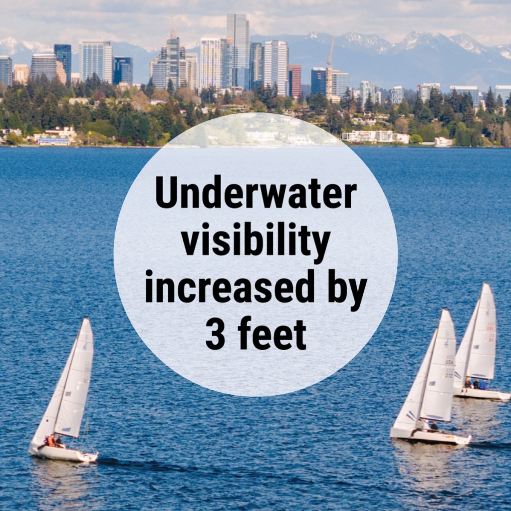 Photo of three sailboats on Lake Washington with text that says: Underwater visibility increased by 3 feet