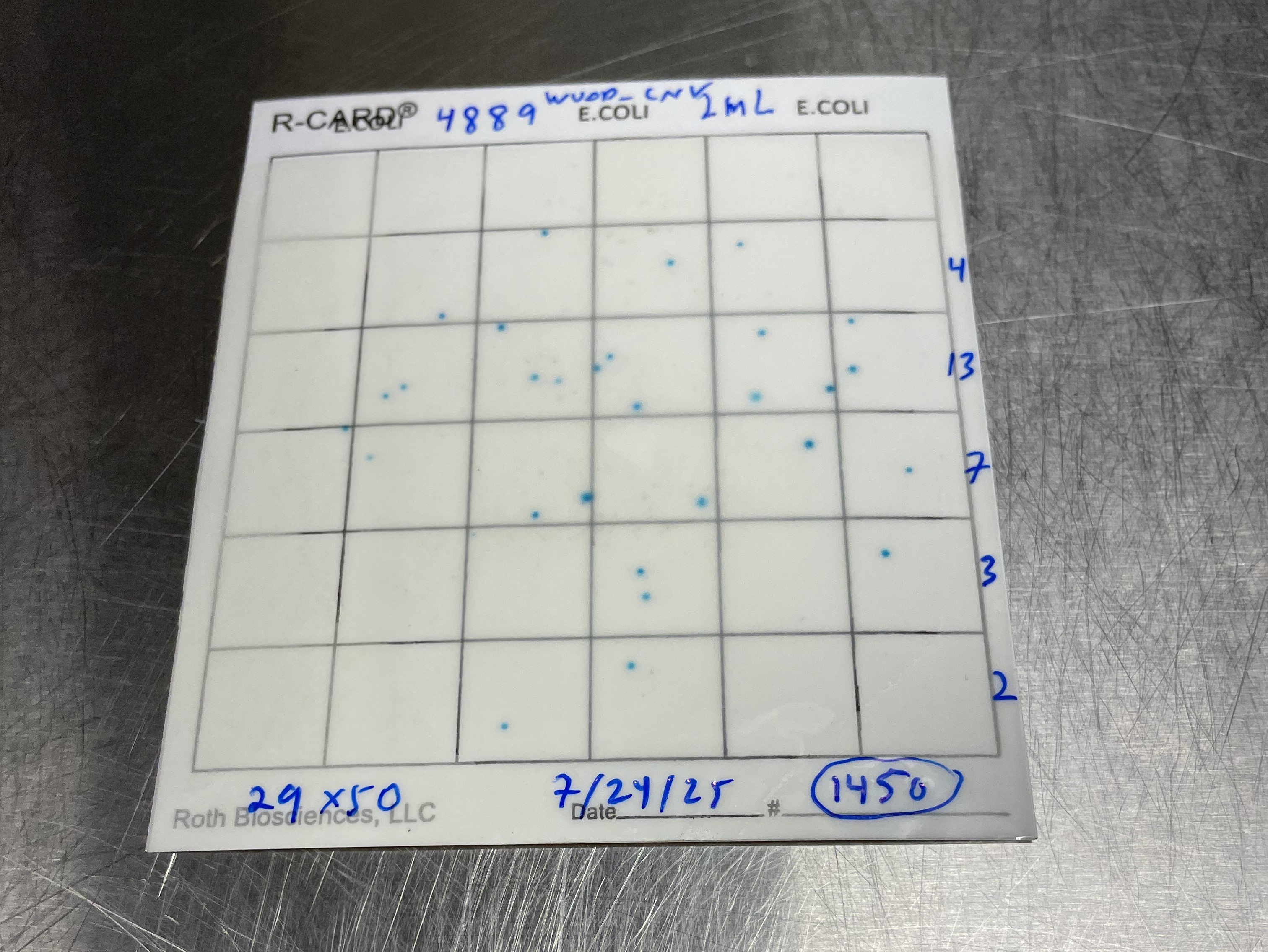A black grid on a white "R-Card" shows lots of small blue dots, indicating lots of E. coli bacteria. 