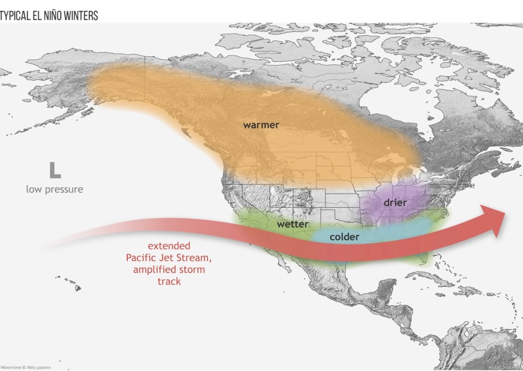 This figure shows how winter weather patterns play out during El Niño events, including in King County and the rest of the Pacific Northwest. It suggests a warmer winter awaits us in 2026-27.