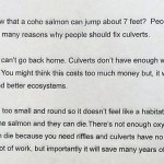 A letter from a third grader encouraging people to fix culverts to protect salmon.