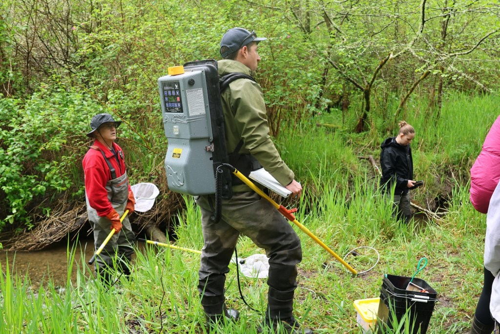 A person in a red jacket holds a yellow net. A person with a grey hard-shelled backpack stands in the grass. A person in a black jacket stands in a stream looking down at a small black device.